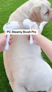 Steamy Brush Pro Craftsmanship and technology, united in one iconic brush.