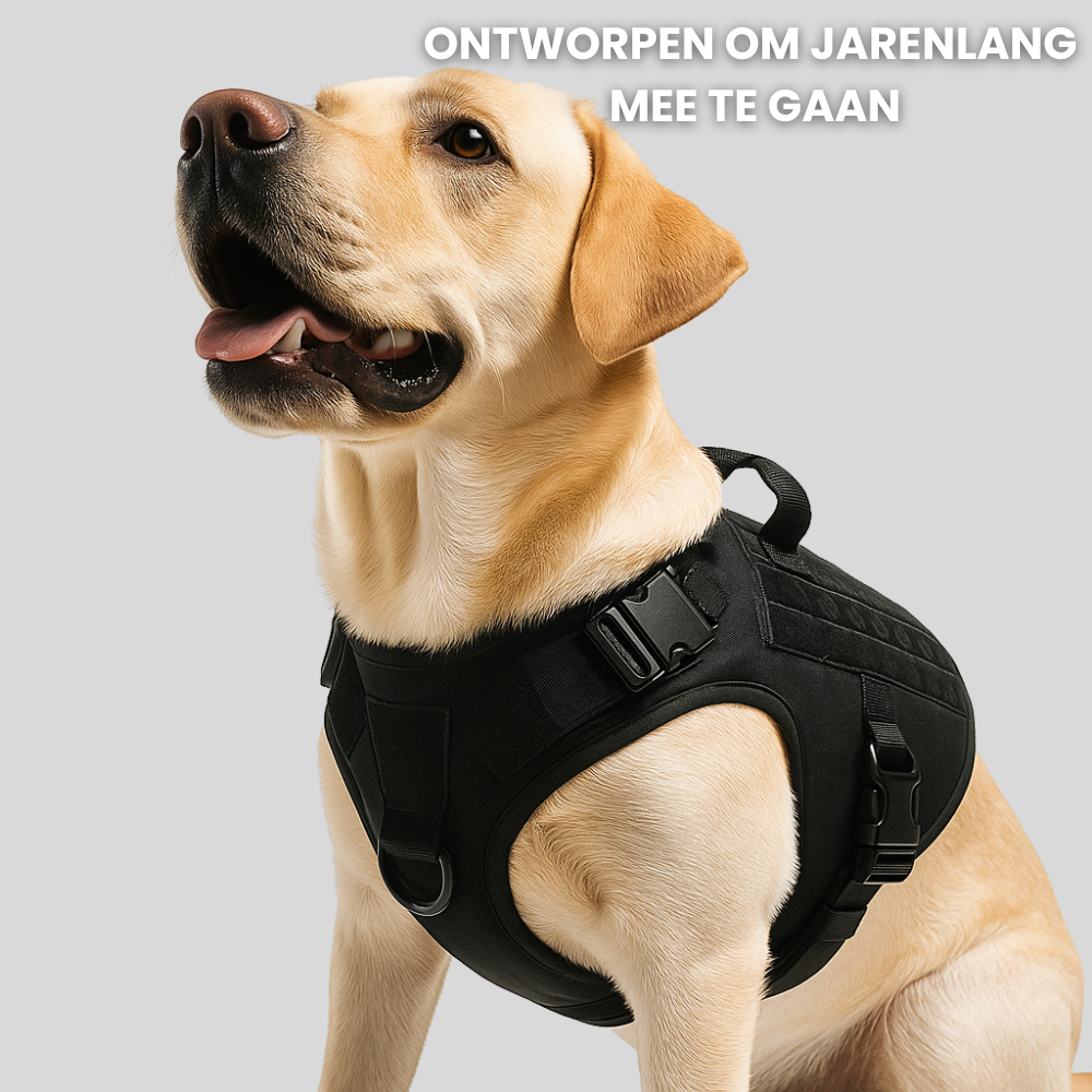 AlphaForge™ Hondenharnas – Veilig & Comfortabel Wandelen