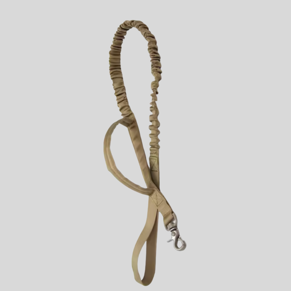 AlphaForge™ riem
