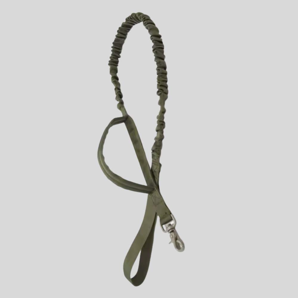AlphaForge™ riem