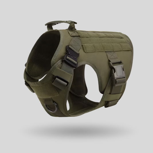 AlphaForge™ Hondenharnas – Veilig & Comfortabel Wandelen