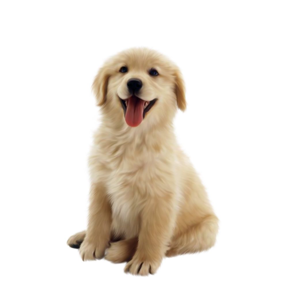 Voor Honden