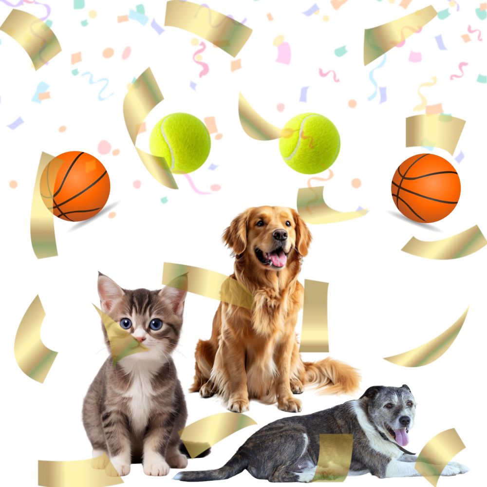 Bestsellers van PetCircle