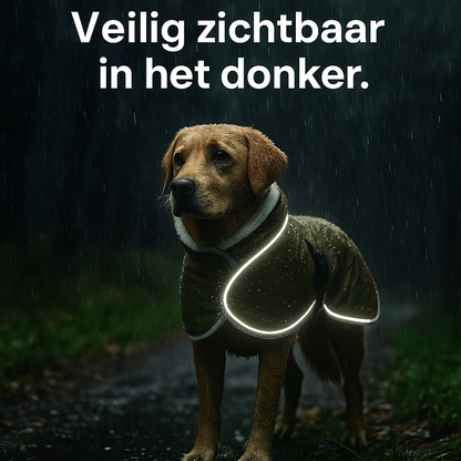 RainSafe™ Premium Honden Regenjas – Waterdicht & Warm