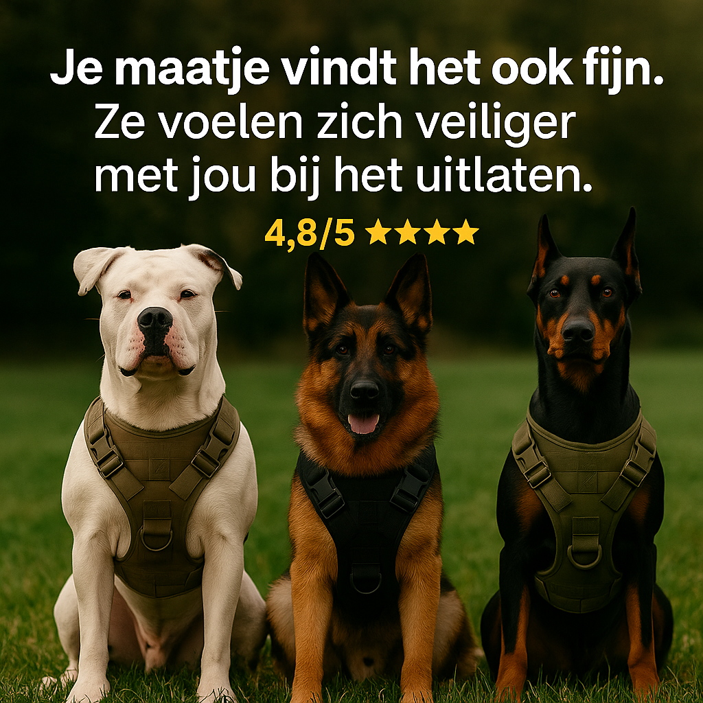 AlphaForge™ Hondenharnas – Veilig & Comfortabel Wandelen