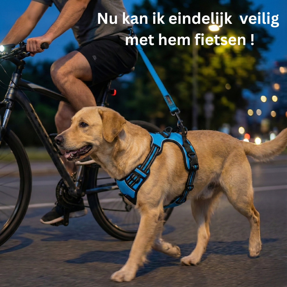 AlphaForge™ Fit Editie honden harnas. Rustige ontspannen wandelingen