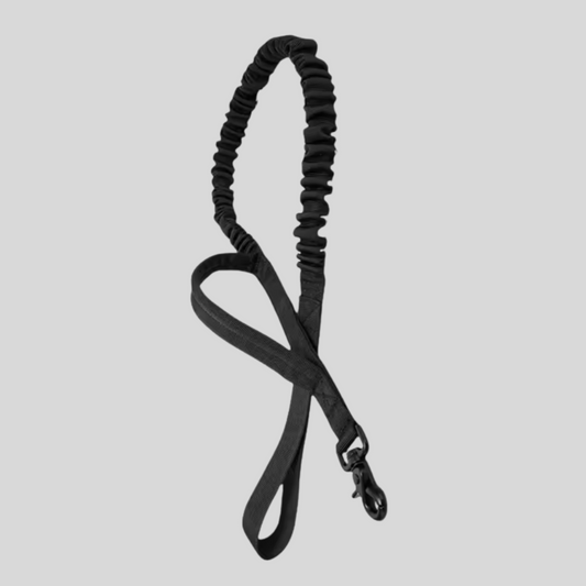 AlphaForge™ riem