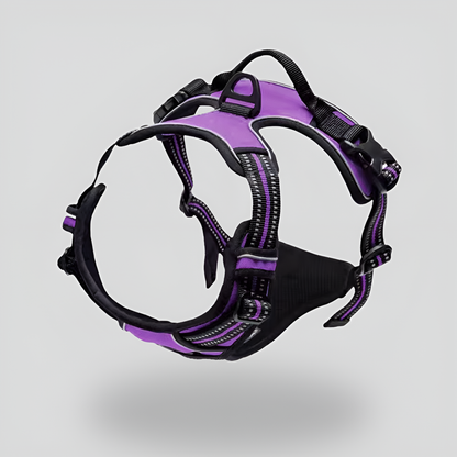AlphaForge™ Fit Editie honden harnas. Rustige ontspannen wandelingen