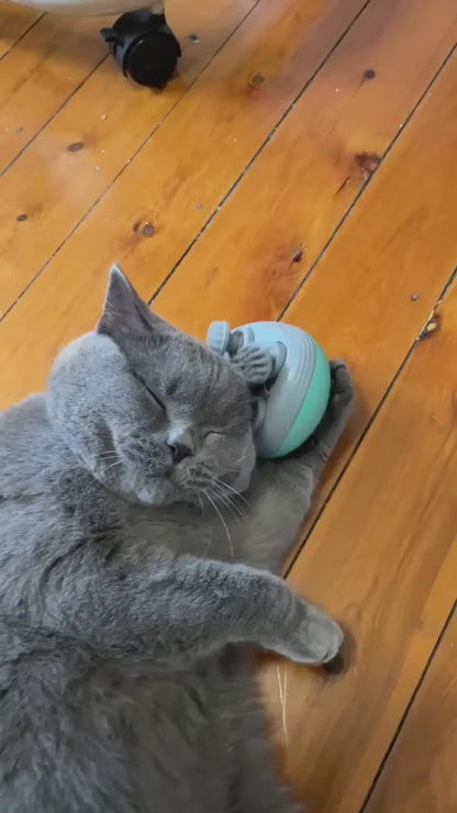 Pet Massager Pro Pamper your Cat with Luxurious Relaxation